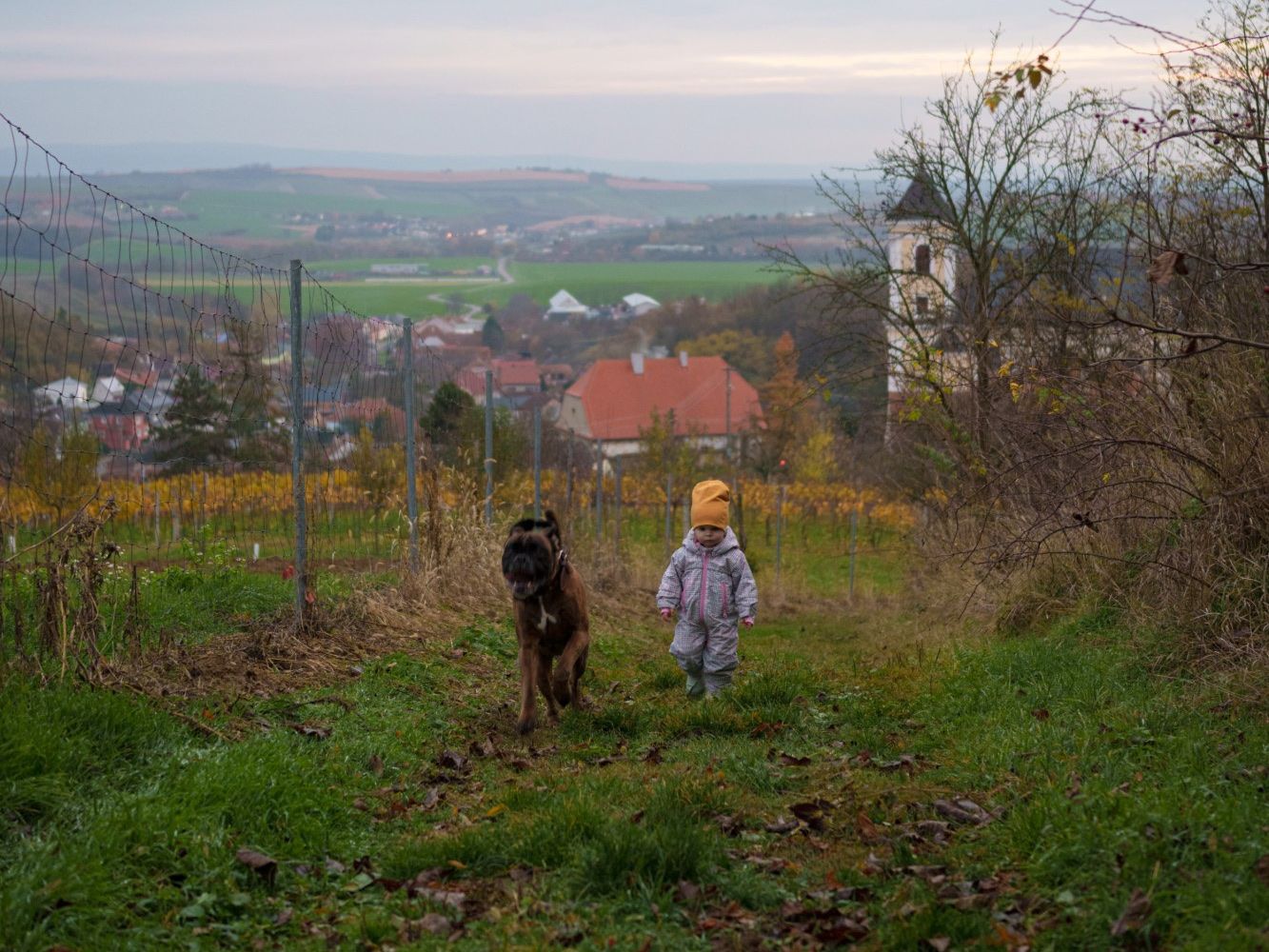 Alf running with a little girl between vineyards above a village