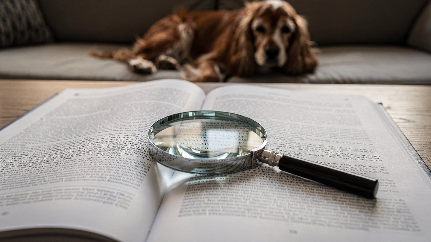 Pet insurance pre-existing conditions explained - magnifying glass on insurance fine print